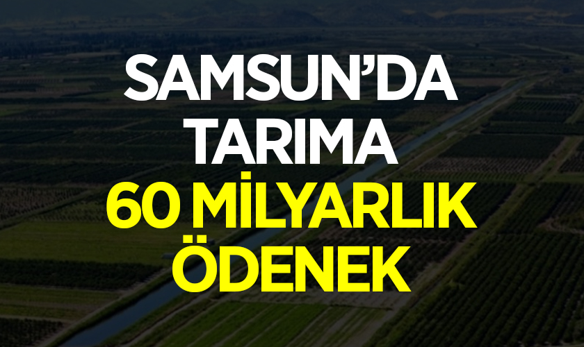 Samsun'da Tarıma 60 Milyarlık Ödenek! İşte O Projeler