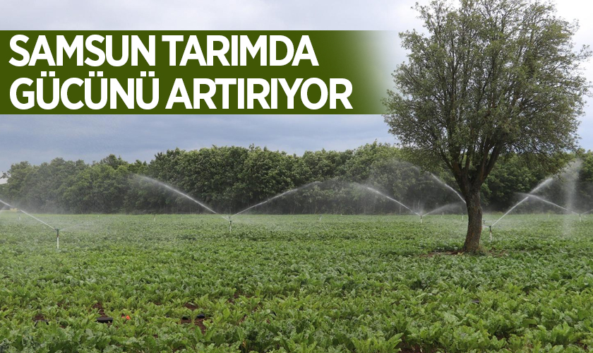 Samsun Tarımda Gücünü Artırıyor: 3 Yılda Milyarlarca Liralık Destek, Binlerce Proje Hayata Geçirildi