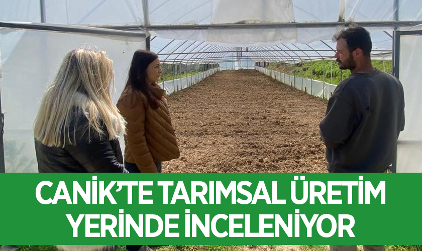 Canik’te Tarımsal Üretim Yerinde İnceleniyor