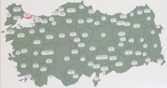 Türkiye’nin corona virüs haritası