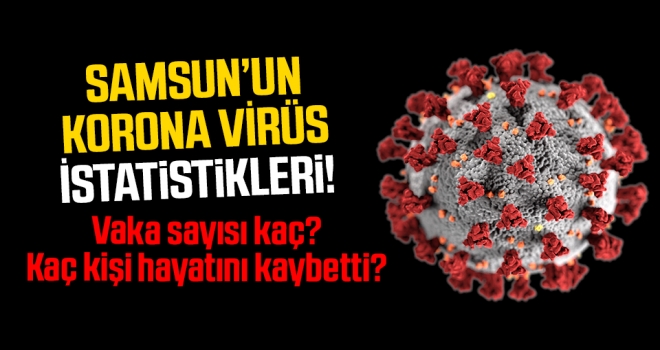 Samsun'da Korona Virüs Tablosu..! Kaç kişi pozitif