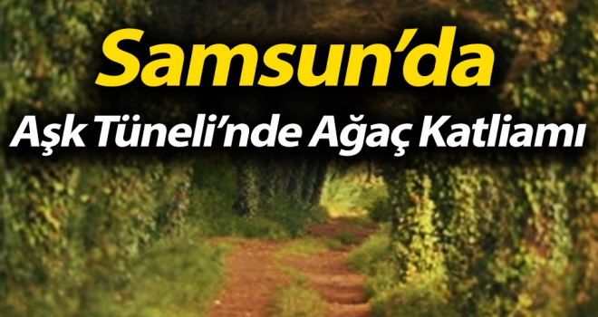 Samsun'da Aşk Tüneli'nde Ağaç Katliamı!