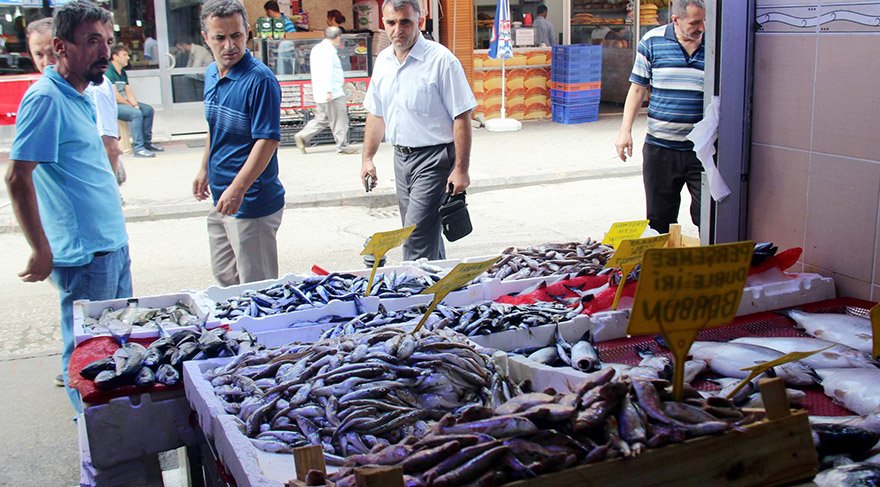 Karadenizli Balıkçıların Umutları Hamsiye Bağlandı