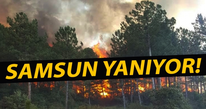Samsun'da 13 ayrı yangın..!