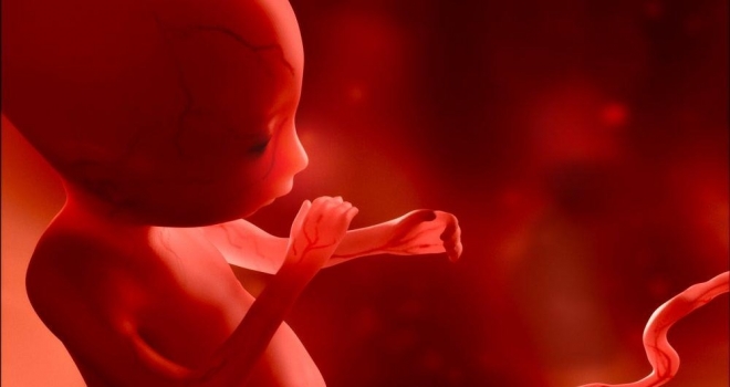 Bilim insanlarından yapay embriyo adımı