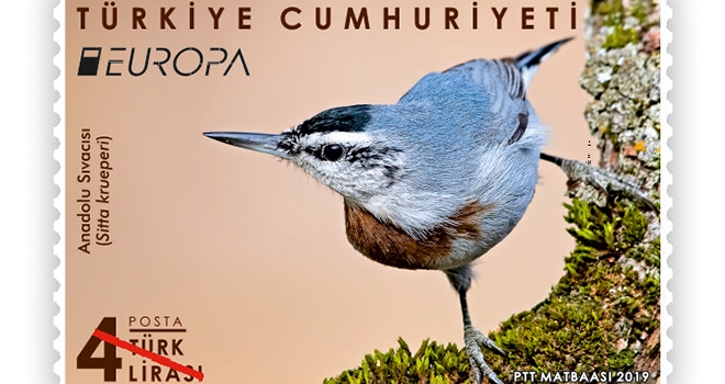 PTT Aş'Kuşlar' Temalı En İyi  Avrupa Pulu Yarışmasına 'Anadolu Sıvacısı' İle Katılıyor