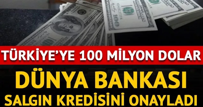Dünya Bankası Türkiye'ye 100 Milyon Dolar Tutarında Krediyi Onayladı