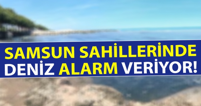 Samsun'da Deniz kirlilikten alarm veriyor