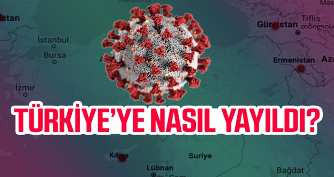 Koronavirüsün Türkiye'de nasıl yayıldığı belirlendi