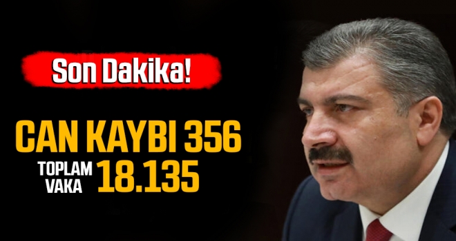 Türkiye'de koronadan ölenlerin sayısı 356'ya yükseldi