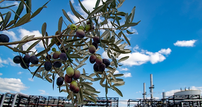 Tüpraş, BiZeolCat Horizon2020 Projesi ile Petrol Endüstrisine Katkıda Bulunuyor