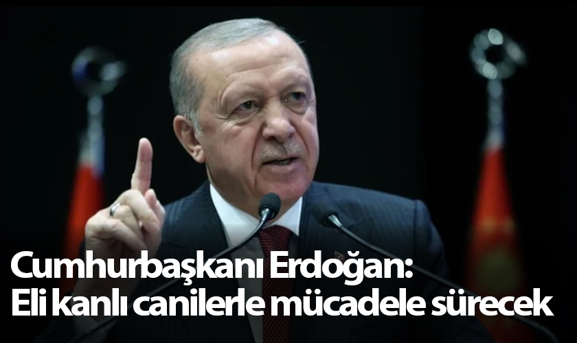Cumhurbaşkanı Erdoğan: Eli Kanlı Canilerle Mücadelemiz Sürecek
