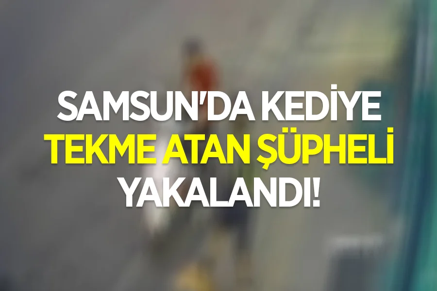 Samsun'da kediye tekme atan şüpheli yakalandı!