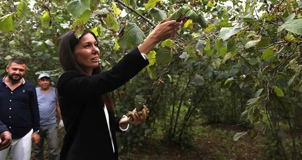 AK Partili Karaaslan, fındık üreticileriyle buluştu