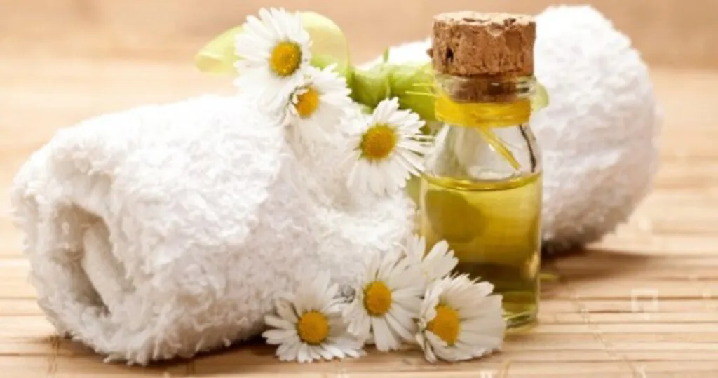 Ağrı Kesici Özelliğine Sahip Papatya Yağı! Tarifi ve Faydaları