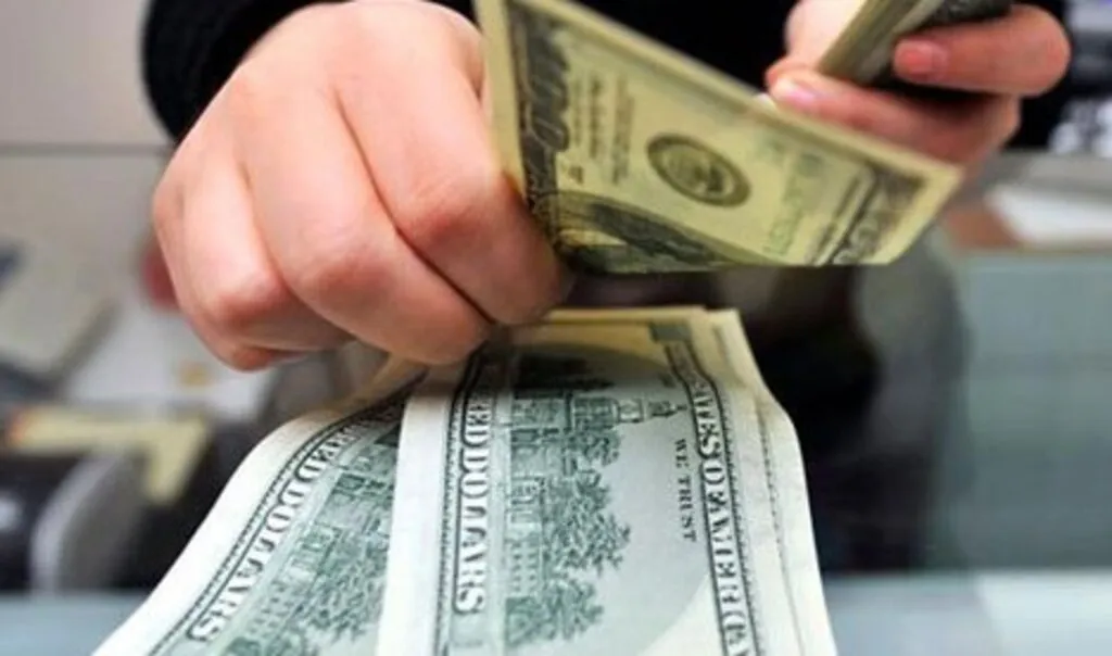 Faiz Kararına Dolar Ne Tepki Verdi
