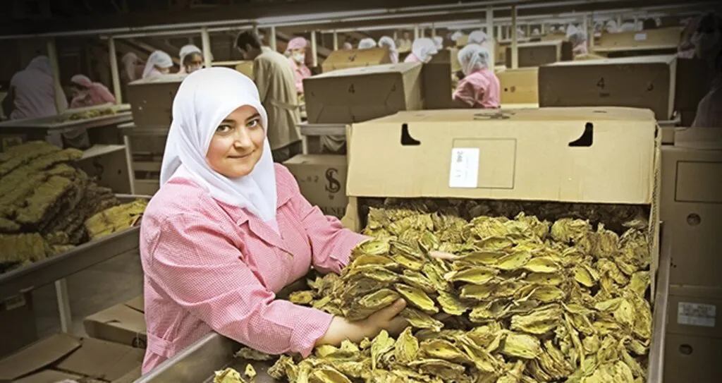 Temmuz Ayında 1 Milyar 123 Milyon Dolarlık İhracat