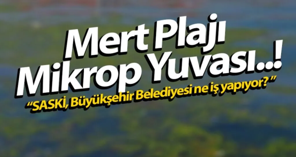 Samsun Mert Plajı Mikrop Yuvası..!