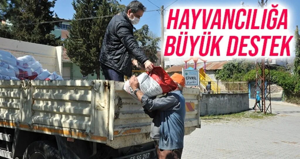 Hayvancılığa büyük destek