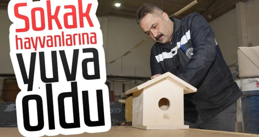 Sokak hayvanlarına yuva oldu