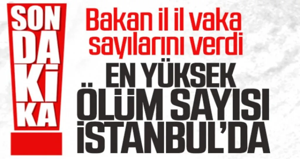 Türkiye'de illere göre Koronavirüs vaka ve ölü sayısı dağılımı