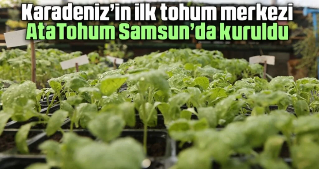 Karadeniz’in İlk Tohum Merkezi AtaTohum Samsun’da Kuruldu