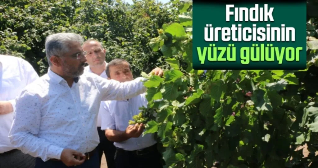 Fındık Üreticisinin Yüzü Gülüyor