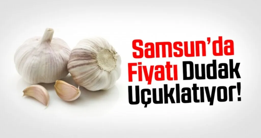 Samsun'da Sarımsak Her Geçen Gün Değerleniyor!