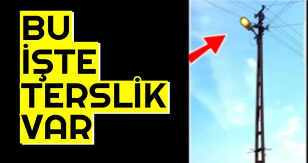 Bu İşte Terslik Var