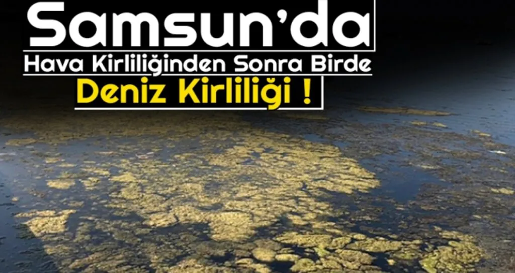 Samsun'da Hava Kirliliğinden Sonra Birde Deniz Kirliliği