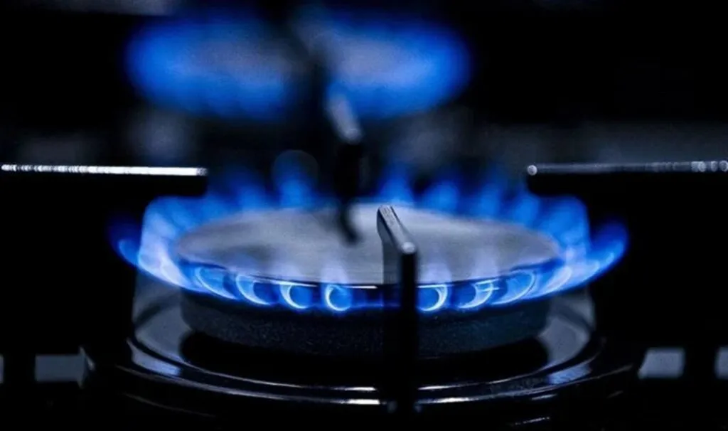 1 aylık ücretsiz doğalgaz müjdesi Resmi Gazete'de! Bu tarihler için para ödenmeyecek