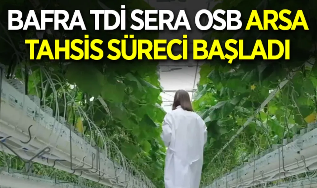 Bafra TDİ Sera OSB Arsa Tahsis Süreci Başladı