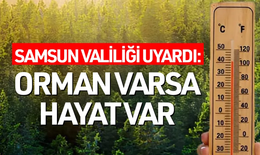 Samsun Valiliği’nden Orman Yangınlarına Karşı Uyarı: “Orman Varsa Hayat Var”
