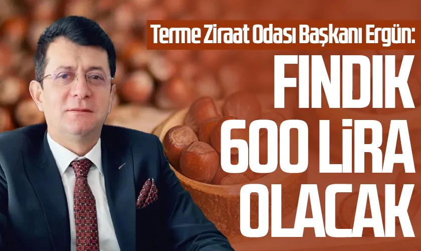 Terme Ziraat Odası Başkanı Ergün: Fındık 600 Lira Olacak
