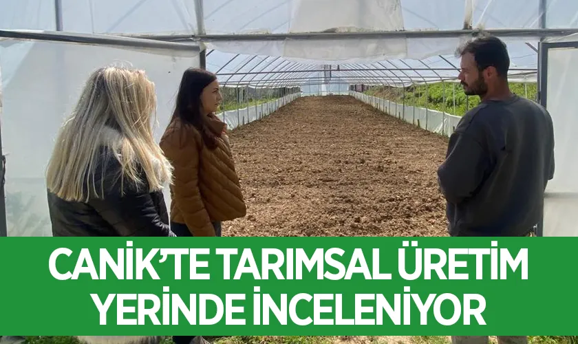 Canik’te Tarımsal Üretim Yerinde İnceleniyor