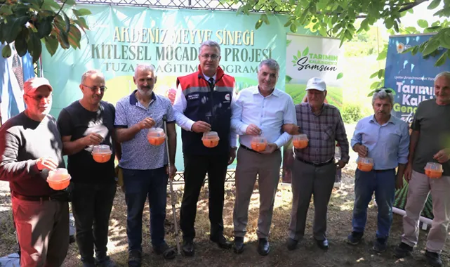 Samsun’da Akdeniz Meyve Sineğine Karşı Biyoteknik Mücadele Başlatıldı