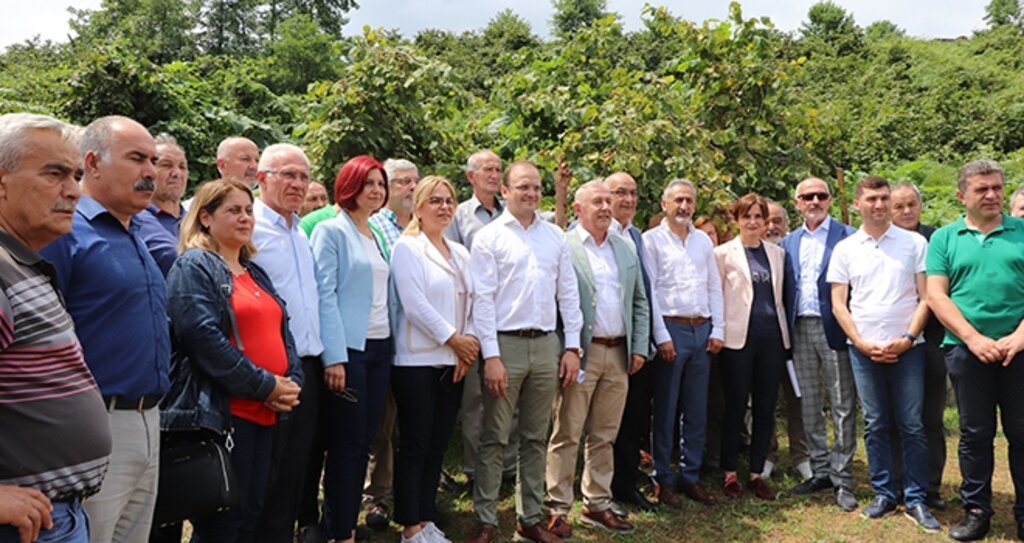 CHP'den AKP'ye Fındık ile ilgili "Poz vermeyin, Fiyat verin" Çağrısı