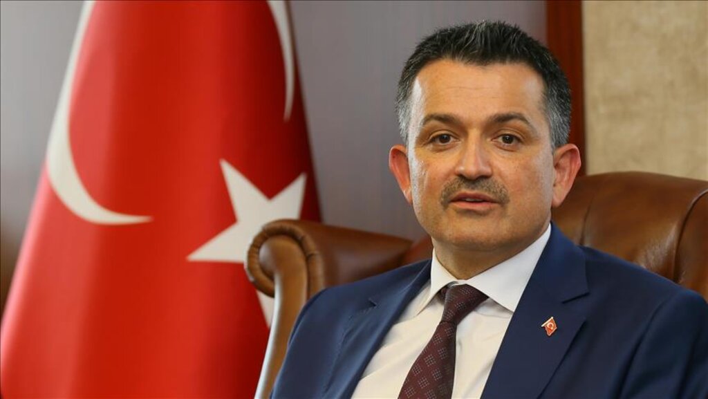 Bakan Pakdemirli'den Açıklama! Zeytinde Büyümemiz Lazım