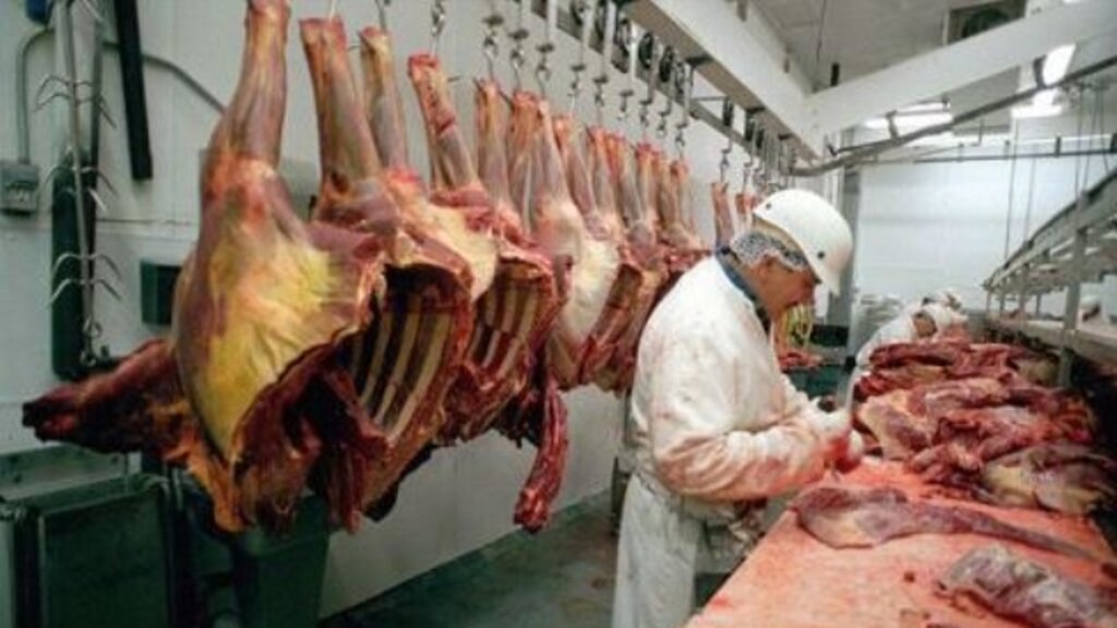 Şarbon Paniği Sürerken Kasaplar Uyarıldı! haberi