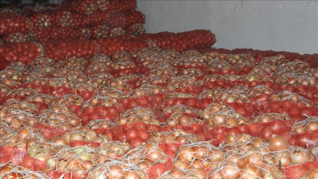 Ziraat Odası Başkanı Soğanda Üretim Fazlası Olduğunu Açıkladı! haberi