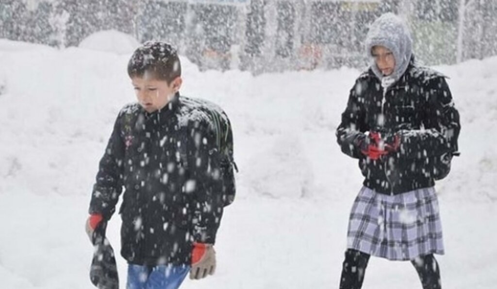 Bitlis Ve Muşta Tatil İlan Edildi haberi