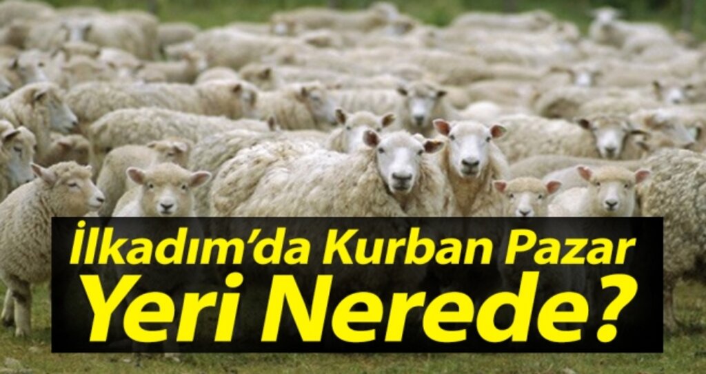 İlkadım'da Kurban Pazar Yeri Nerede? haberi
