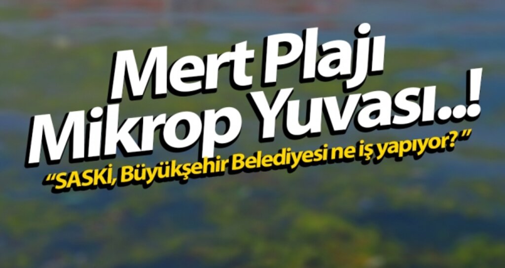 Samsun Mert Plajı Mikrop Yuvası..! haberi