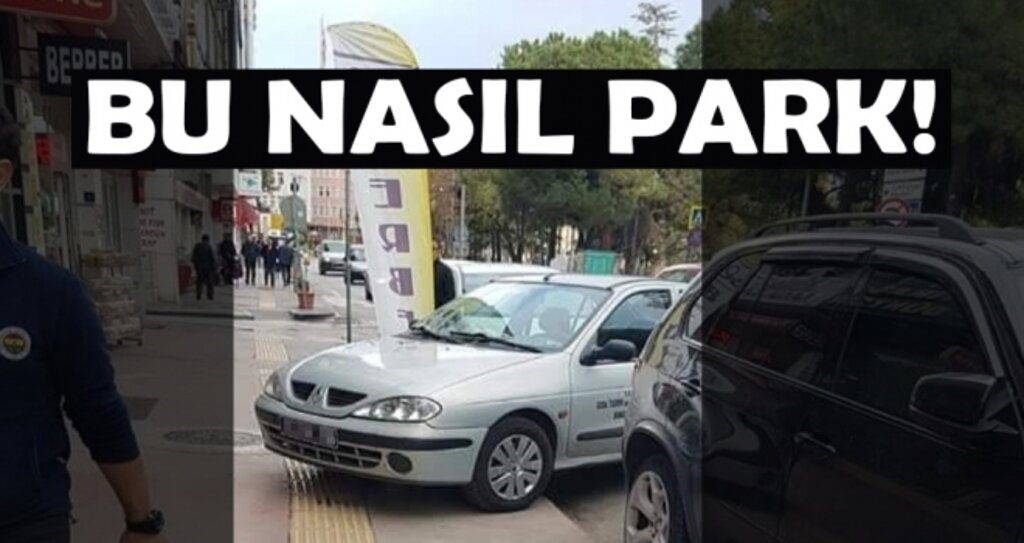 Bu nasıl park!