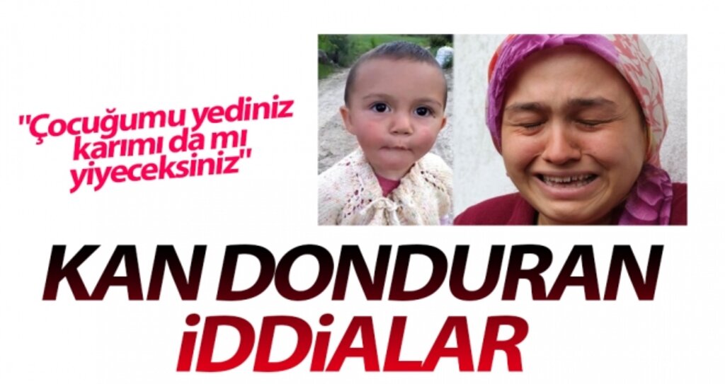 Sevcan Kurnaz ile eşi Deniz Kurnaz'ın ifadeleri herkesi şok etti! haberi