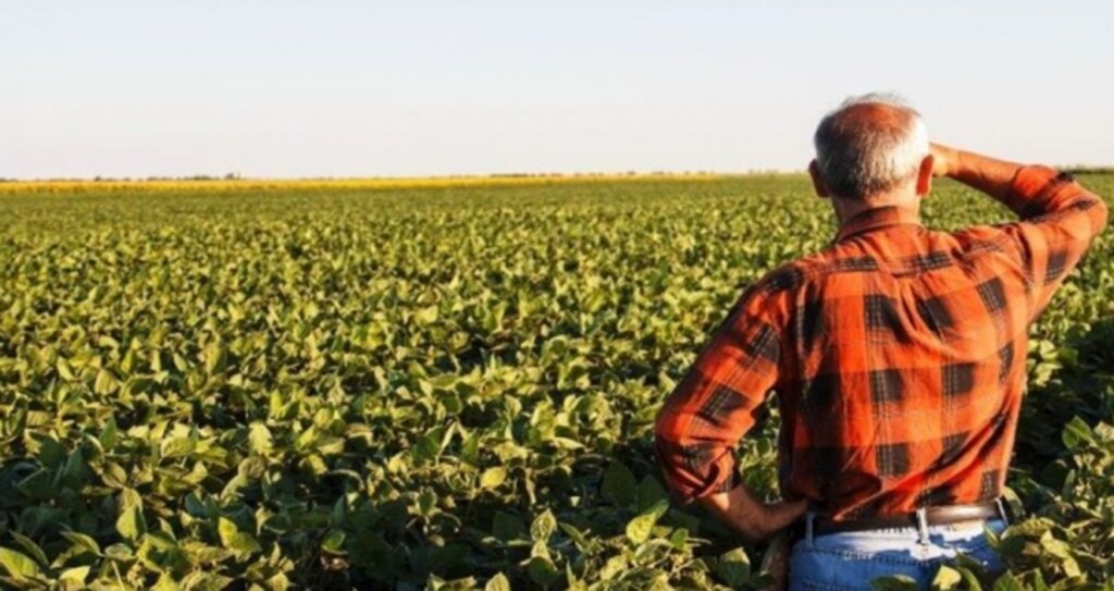 '14 Mayıs Dünya Çiftçiler Günü Kutlanıyor' haberi