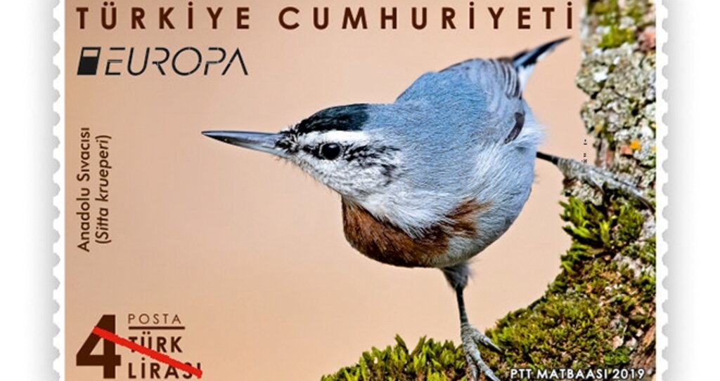 PTT Aş'Kuşlar' Temalı En İyi  Avrupa Pulu Yarışmasına 'Anadolu Sıvacısı' İle Katılıyor haberi