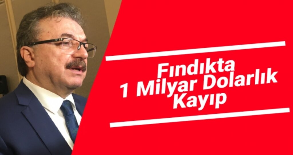 Fındıkta 1 milyar dolarlık bir kayıp
