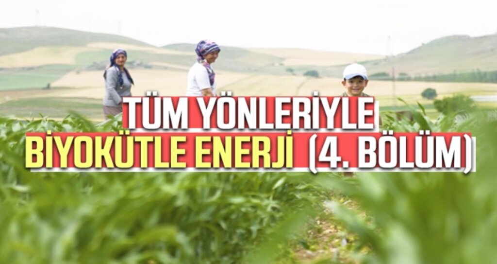 Tüm Yönleriyle Biyokütle Enerji 4.Bölüm