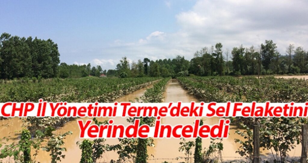 CHP İl Yönetimi Terme'de Sel Felaketini Yerinde İnceldi haberi